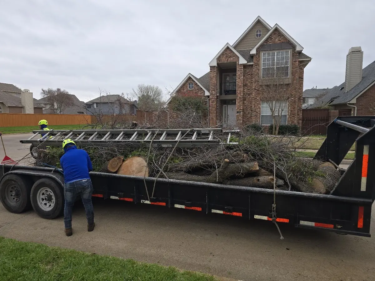 Expert Lot Clearing with proper safety equipment in Kykotsmovi Village